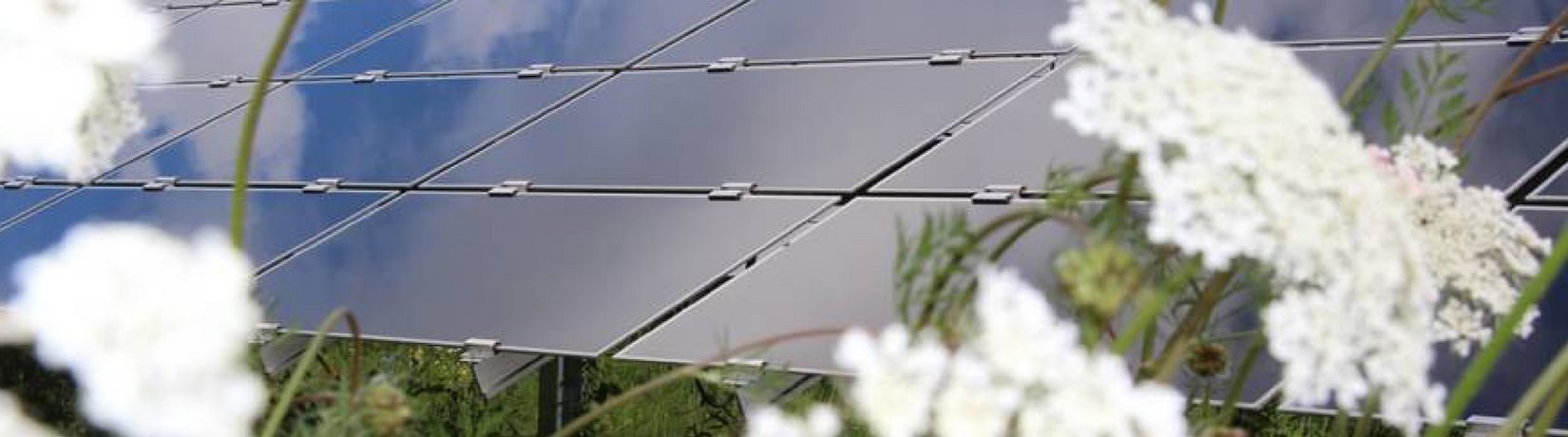 Solarpark Denkingen